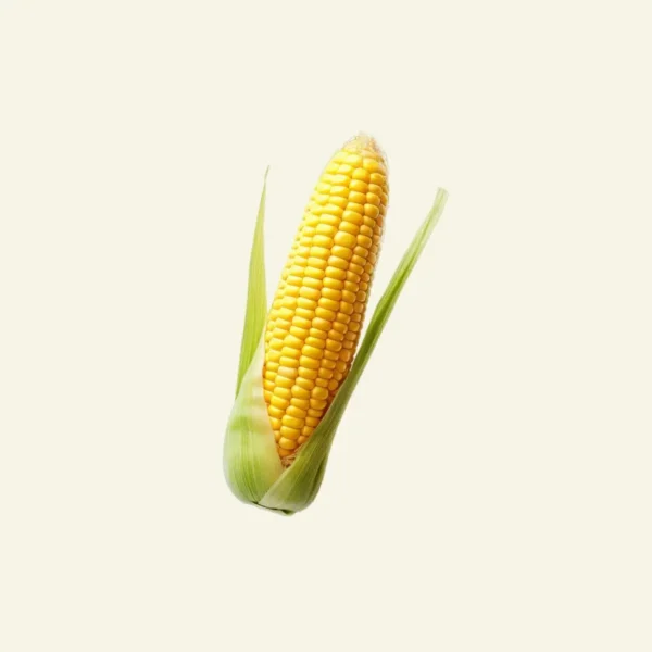 Corn